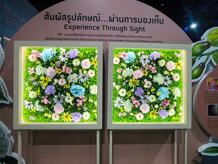 NSM ชวนค้นหาความมหัศจรรย์ของดอกไม้ในงานมหกรรมวิทยาศาสตร์ฯ 2569 วิทยาศาสตร์ภายใต้กลีบดอกบอบบางที่เปลี่ยนแปลงมนุษย์และโลกได้ทั้งใบ - 7