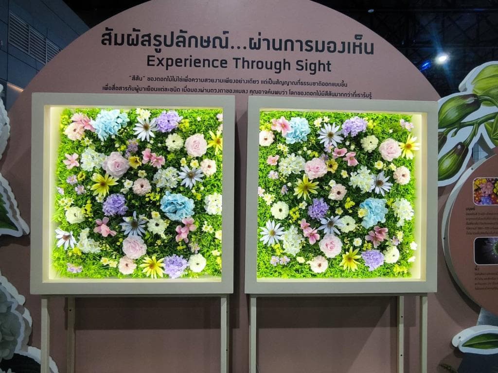 อพวช. ท้าพิสูจน์! 'ดอกไม้ฟังเสียงผึ้งได้-สื่อสารได้' ในนิทรรศการระดับโลก 'ดอกไม้เปลี่ยนโลก' เจาะวิวัฒนาการ 390 ล้านปี เชื่อมระบบนิเวศสู่ชีวิตมนุษย์ - 2