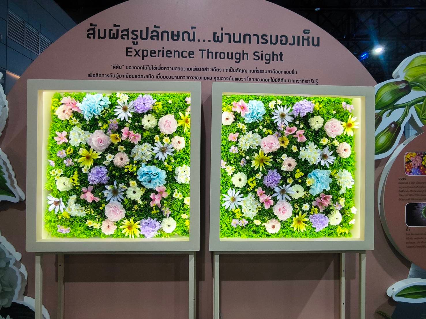 อพวช. ชวนชมนิทรรศการ ดอกไม้เปลี่ยนโลก เข้าฟรีถึง 23 ส.ค.นี้ ที่อิมแพ็คเมืองทองธานี - 6